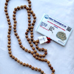 Lab Tested Rudraksha Beads